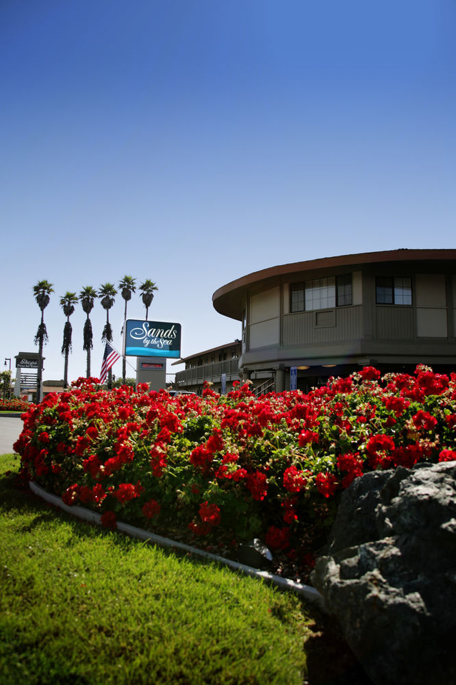 Sands By The Sea Motel San Simeon Bagian luar foto